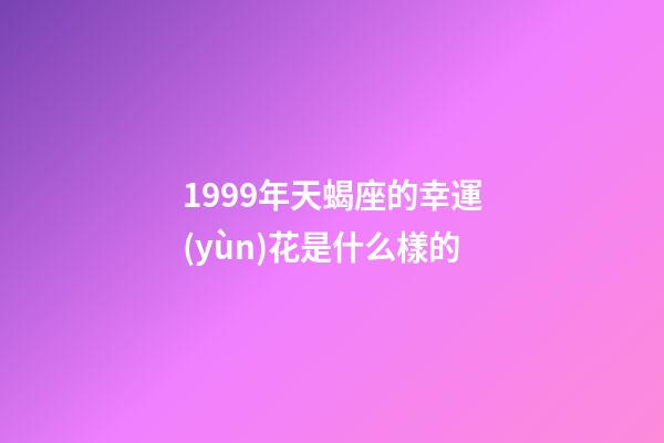 1999年天蝎座的幸運(yùn)花是什么樣的-第1張-星座運(yùn)勢-玄機(jī)派