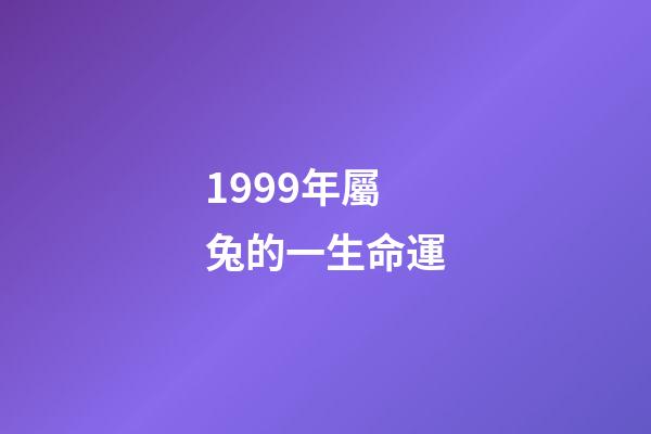 1999年屬兔的一生命運(土兔之命 土兔命運好嗎)-第1張-觀點-玄機派