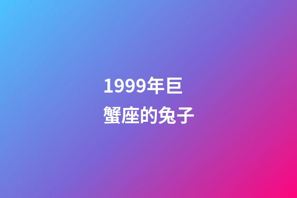 1999年巨蟹座的兔子-第1張-星座運勢-玄機派