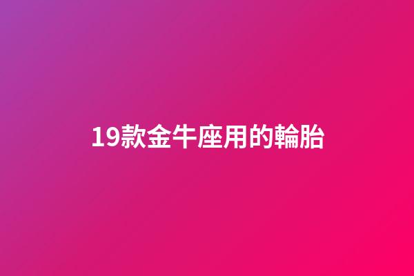19款金牛座用的輪胎