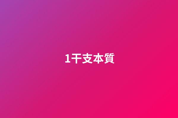 1.干支本質