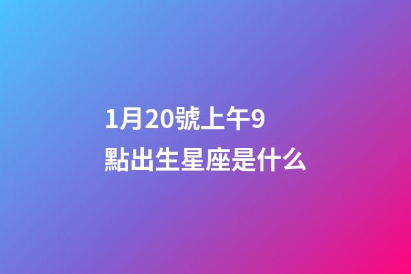 1月20號上午9點出生星座是什么-第1張-星座運勢-玄機派