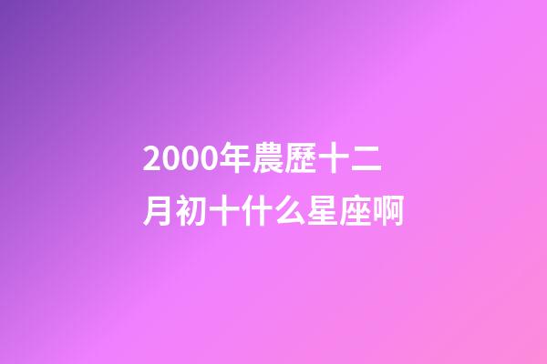 2000年農歷十二月初十什么星座啊-第1張-星座運勢-玄機派