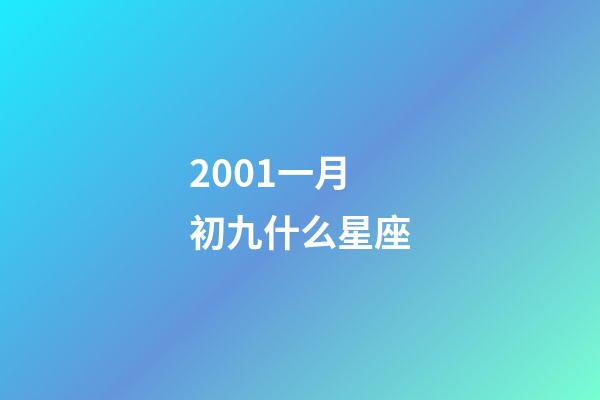 2001一月初九什么星座-第1張-星座運勢-玄機派