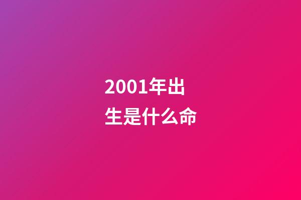 2001年出生是什么命
