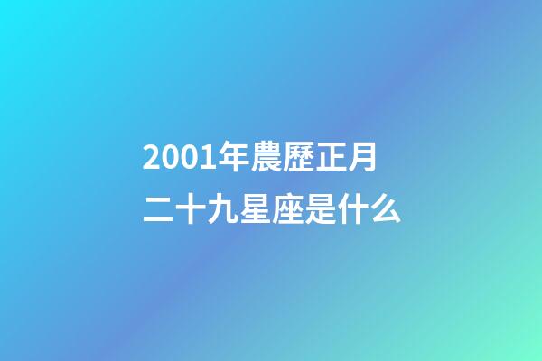 2001年農歷正月二十九星座是什么-第1張-星座運勢-玄機派