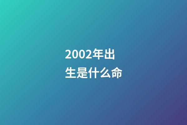 2002年出生是什么命