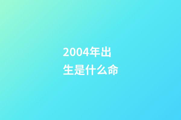 2004年出生是什么命