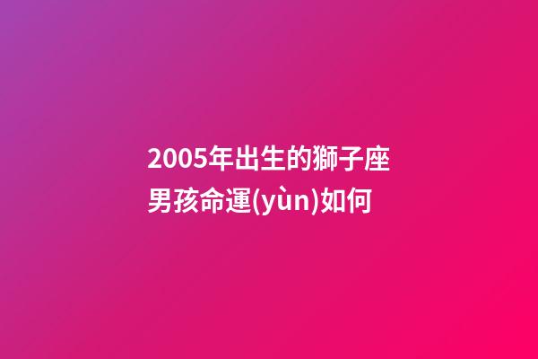 2005年出生的獅子座男孩命運(yùn)如何-第1張-星座運(yùn)勢(shì)-玄機(jī)派