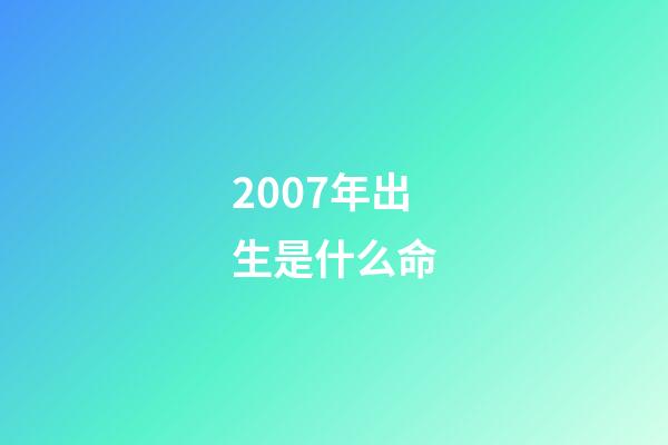 2007年出生是什么命
