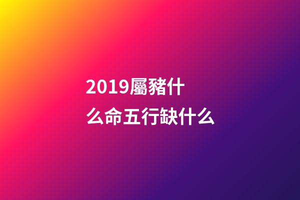 2019屬豬什么命五行缺什么(豬年如何行大運？)-第1張-觀點-玄機派