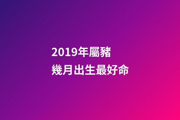 2019年屬豬幾月出生最好命(2019年是什么豬年 好運(yùn)來了)-第1張-觀點(diǎn)-玄機(jī)派