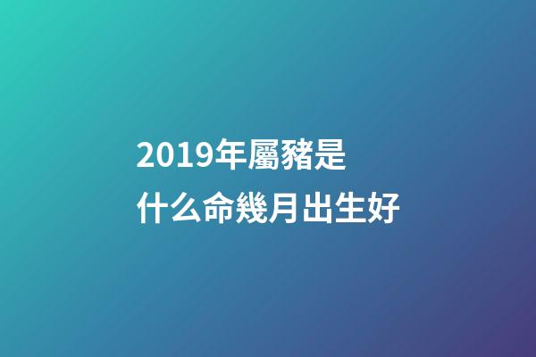 2019年屬豬是什么命幾月出生好(2019年5月份哪一天出生最好)-第1張-觀點-玄機派