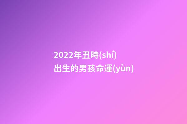 2022年丑時(shí)出生的男孩命運(yùn)(敘詭筆記“傳張之洞為猿猴托生”的真相)-第1張-觀點(diǎn)-玄機(jī)派
