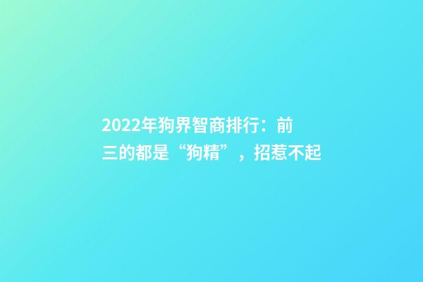 2022年狗界智商排行：前三的都是“狗精”，招惹不起-第1張-觀點-玄機派