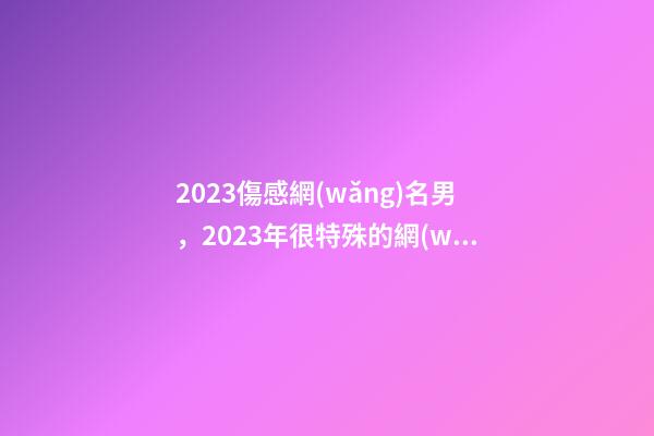 2023傷感網(wǎng)名男，2023年很特殊的網(wǎng)名-第1張-觀點-玄機派