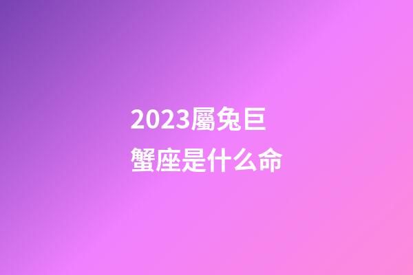 2023屬兔巨蟹座是什么命-第1張-星座運勢-玄機派