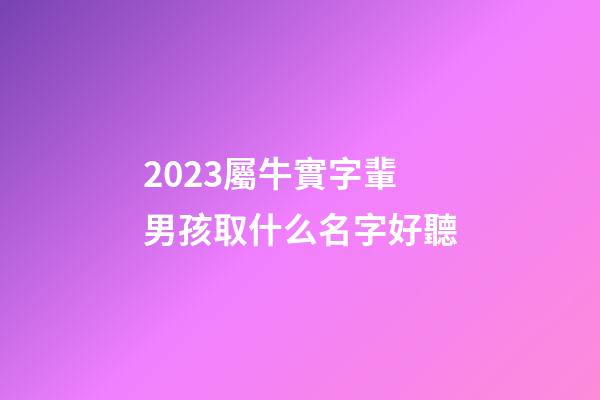 2023屬牛實字輩男孩取什么名字好聽