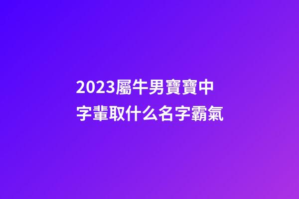 2023屬牛男寶寶中字輩取什么名字霸氣