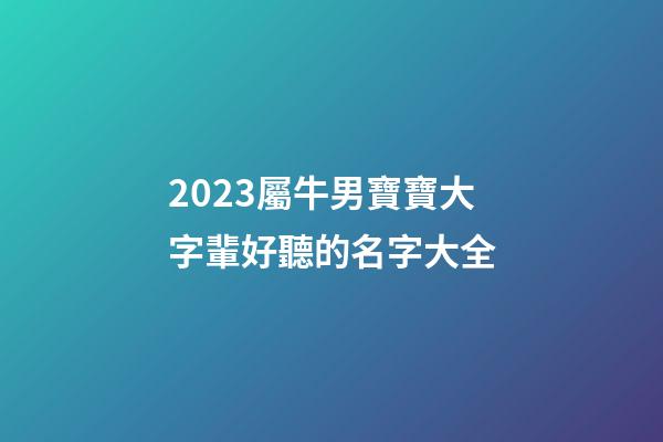2023屬牛男寶寶大字輩好聽的名字大全