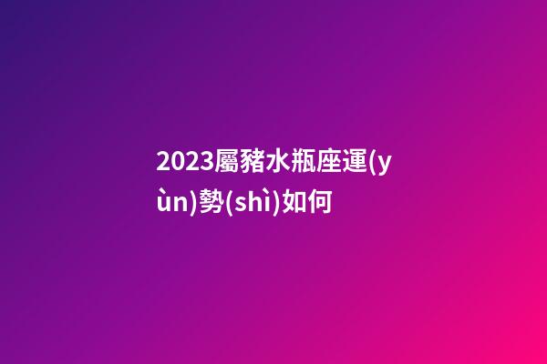 2023屬豬水瓶座運(yùn)勢(shì)如何