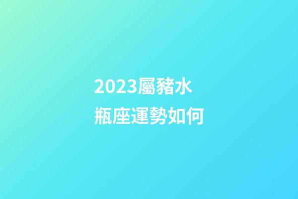 2023屬豬水瓶座運勢如何-第1張-星座運勢-玄機派
