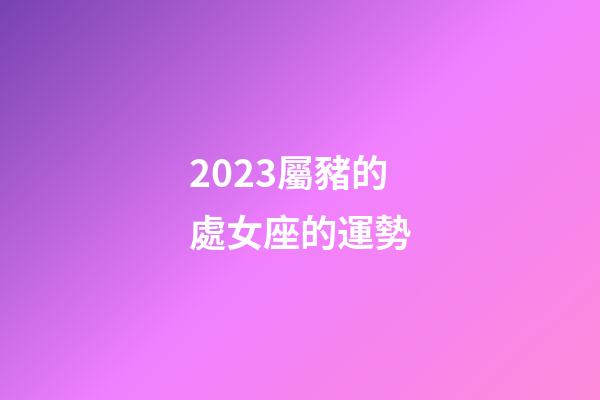 2023屬豬的處女座的運勢-第1張-星座運勢-玄機派
