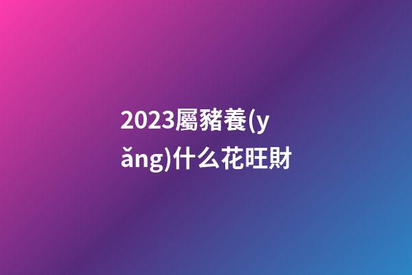 2023屬豬養(yǎng)什么花旺財