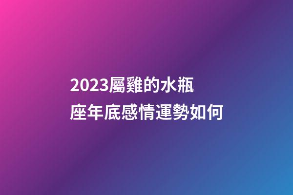 2023屬雞的水瓶座年底感情運勢如何-第1張-星座運勢-玄機派