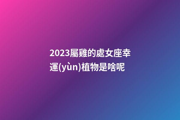 2023屬雞的處女座幸運(yùn)植物是啥呢-第1張-星座運(yùn)勢(shì)-玄機(jī)派