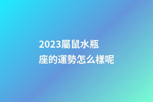2023屬鼠水瓶座的運勢怎么樣呢-第1張-星座運勢-玄機派