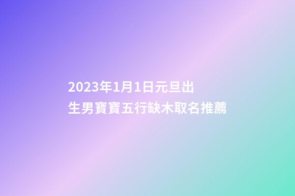 2023年1月1日元旦出生男寶寶五行缺木取名推薦