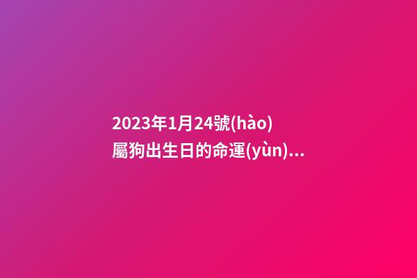 2023年1月24號(hào)屬狗出生日的命運(yùn)解析
