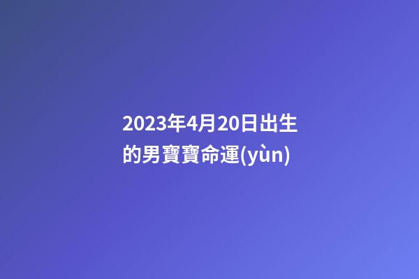 2023年4月20日出生的男寶寶命運(yùn)