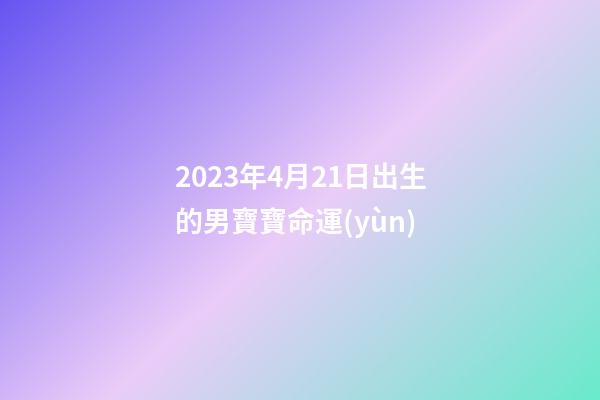 2023年4月21日出生的男寶寶命運(yùn)