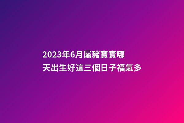 2023年6月屬豬寶寶哪天出生好?這三個日子福氣多