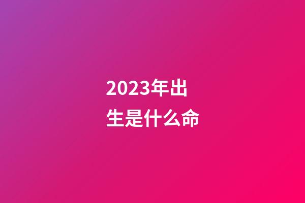 2023年出生是什么命