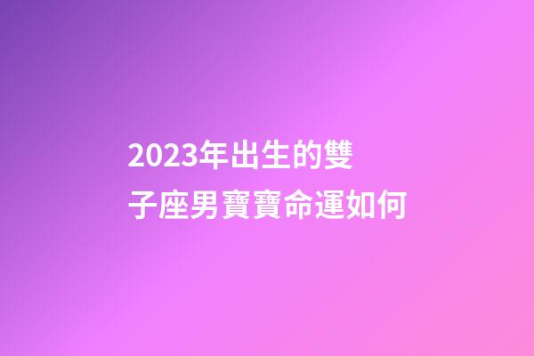 2023年出生的雙子座男寶寶命運如何-第1張-星座運勢-玄機派