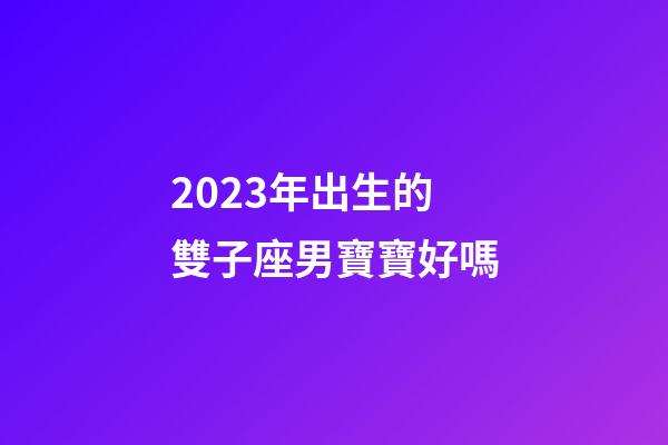 2023年出生的雙子座男寶寶好嗎-第1張-星座運勢-玄機派