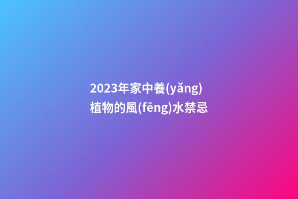 2023年家中養(yǎng)植物的風(fēng)水禁忌