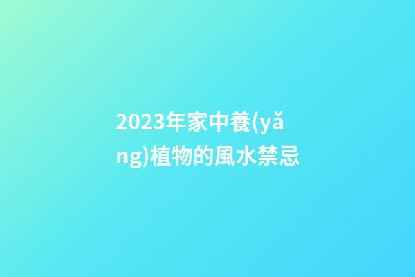 2023年家中養(yǎng)植物的風水禁忌