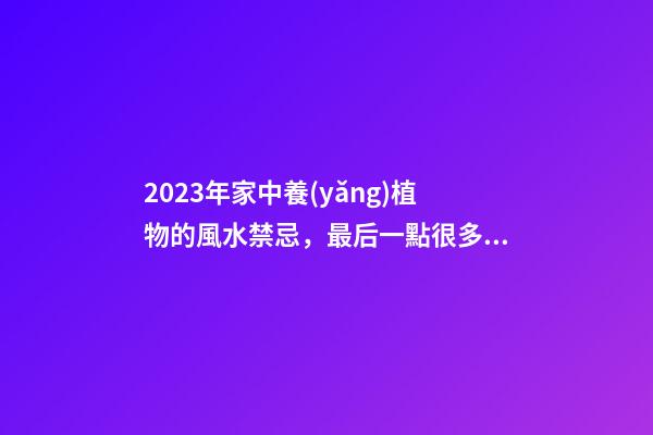 2023年家中養(yǎng)植物的風水禁忌，最后一點很多人忽略了
