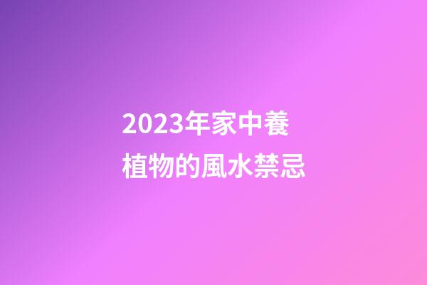 2023年家中養植物的風水禁忌