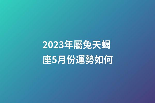 2023年屬兔天蝎座5月份運勢如何-第1張-星座運勢-玄機派