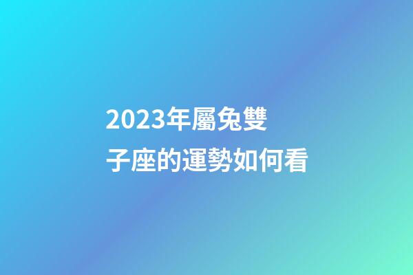 2023年屬兔雙子座的運勢如何看-第1張-星座運勢-玄機派