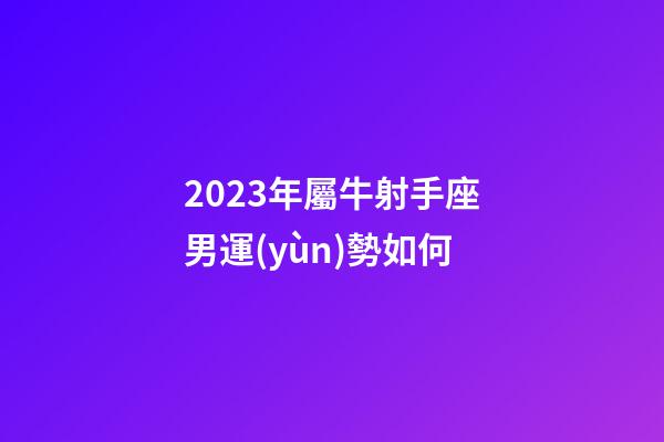 2023年屬牛射手座男運(yùn)勢如何-第1張-星座運(yùn)勢-玄機(jī)派