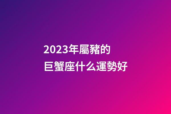 2023年屬豬的巨蟹座什么運勢好-第1張-星座運勢-玄機派