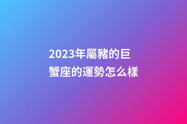 2023年屬豬的巨蟹座的運勢怎么樣-第1張-星座運勢-玄機派