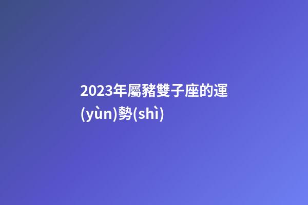 2023年屬豬雙子座的運(yùn)勢(shì)-第1張-星座運(yùn)勢(shì)-玄機(jī)派