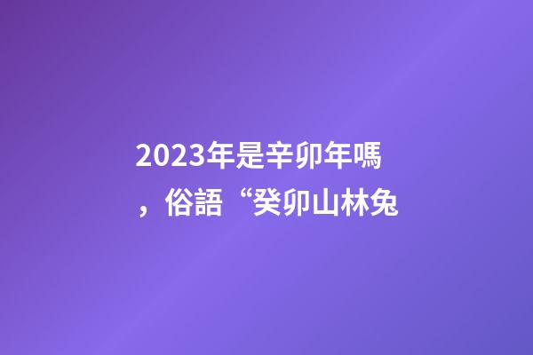 2023年是辛卯年嗎，俗語“癸卯山林兔-第1張-觀點(diǎn)-玄機(jī)派